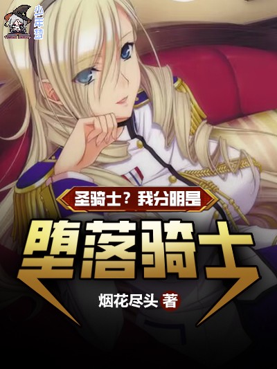 圣骑士？我分明是堕落骑士